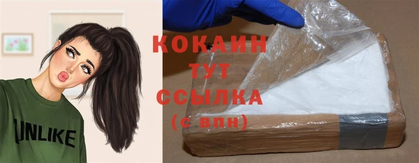 бошки Алексин