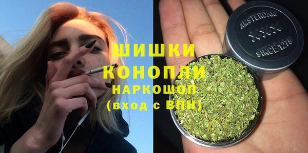 бошки Алексин