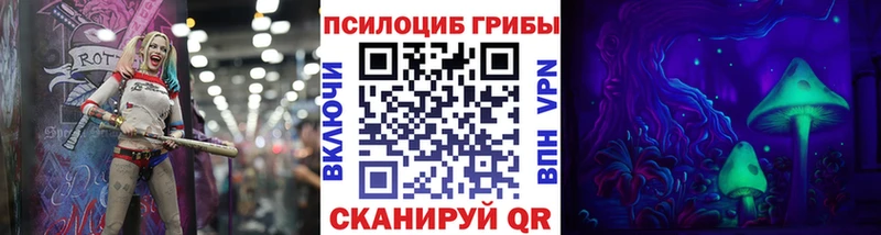 где найти   Аша  Псилоцибиновые грибы Psilocybe 