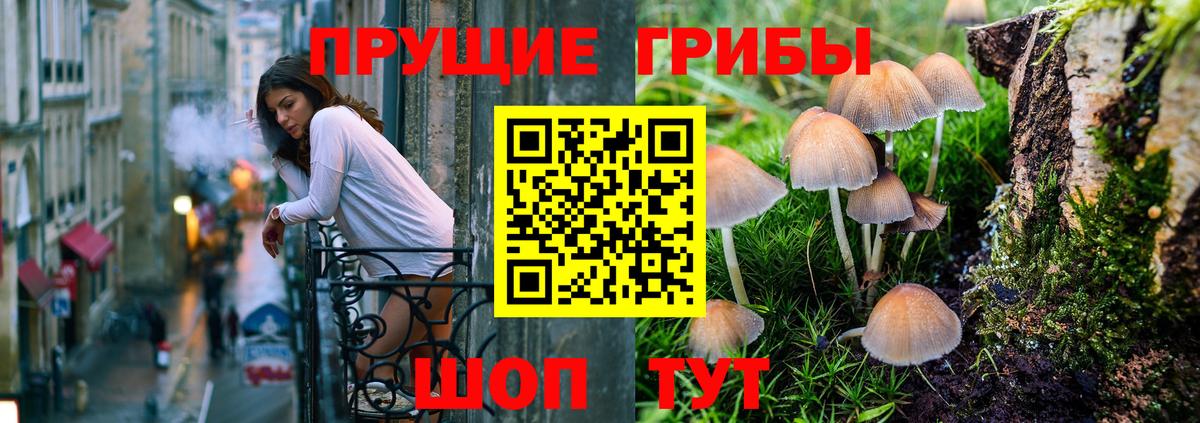 Псилоцибиновые грибы прущие грибы  Псилоцибиновые грибы Psilocybine cubensis  Вход с VPN  цена   Аша 