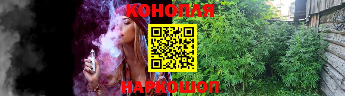 Бошки Шишки тримм Аша